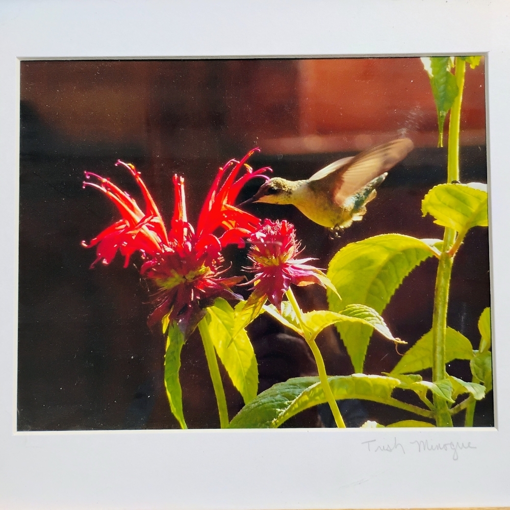 Floral Art Framed Print - Picture 2 of 6